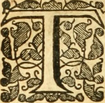 An illustration from The history of Venice, in the times of Julius the 2d ..., 1658, leaf 655