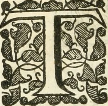 An illustration from The history of Venice ... Written originally in Italian, 1658, leaf 399
