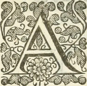 An illustration from The history of Venice ... Written originally in Italian, 1658, leaf 441