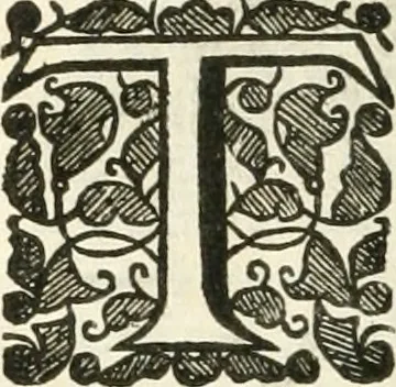 An illustration from The history of Venice ... Written originally in Italian, 1658, leaf 483