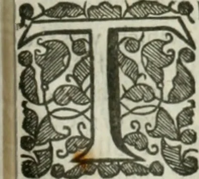 An illustration from The history of Venice ... Written originally in Italian, 1658, leaf 508