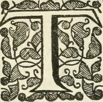 An illustration from The history of Venice ... Written originally in Italian, 1658, leaf 561