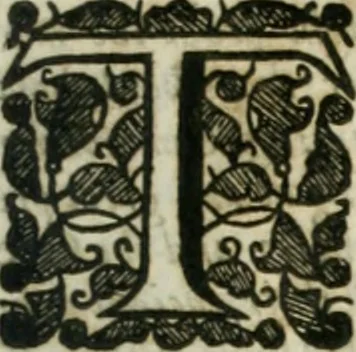An illustration from The history of Venice ... Written originally in Italian, 1658, leaf 728