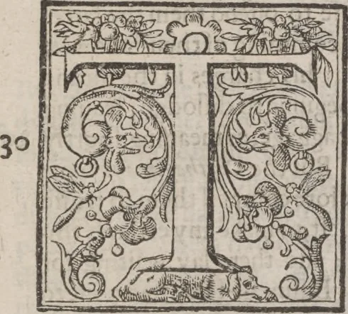 An illustration from The history of the world, 1614, leaf 1152