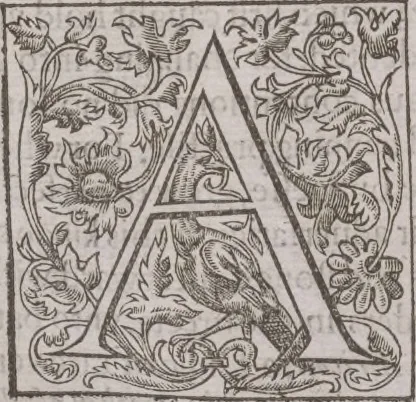 An illustration from The history of the world, 1614, leaf 1489