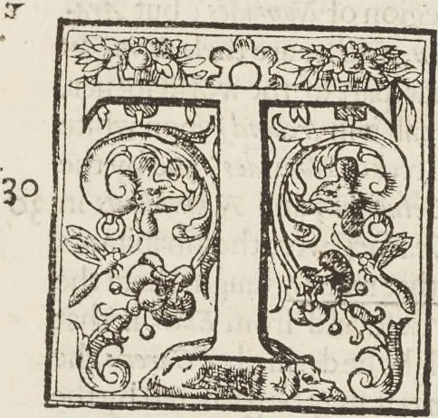 An illustration from The history of the world, 1614, leaf 168