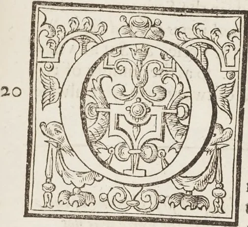 An illustration from The history of the world, 1614, leaf 230