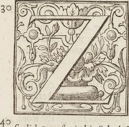 An illustration from The history of the world, 1614, leaf 304