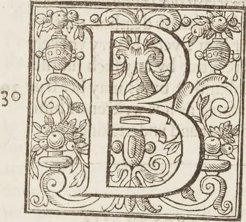 An illustration from The history of the world, 1614, leaf 318
