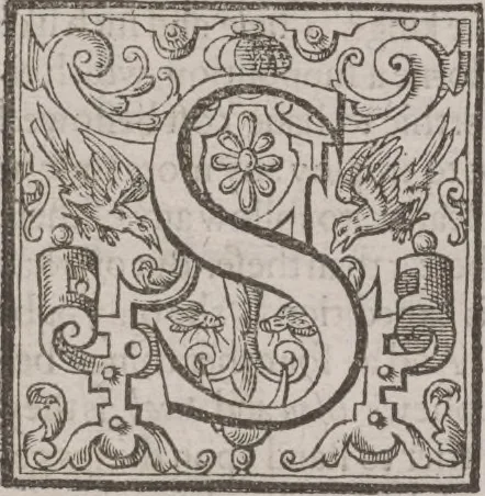 An illustration from The history of the world, 1614, leaf 341