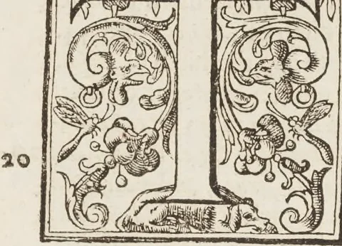 An illustration from The history of the world, 1614, leaf 352