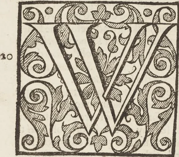 An illustration from The history of the world, 1614, leaf 404