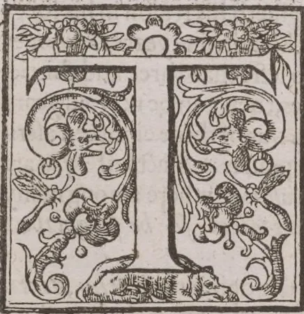 An illustration from The history of the world, 1614, leaf 439