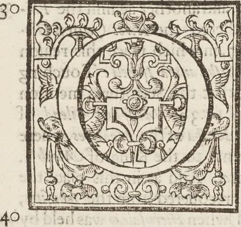 An illustration from The history of the world, 1614, leaf 520