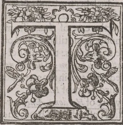 An illustration from The history of the world, 1614, leaf 563