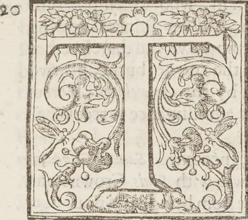 An illustration from The history of the world, 1614, leaf 602