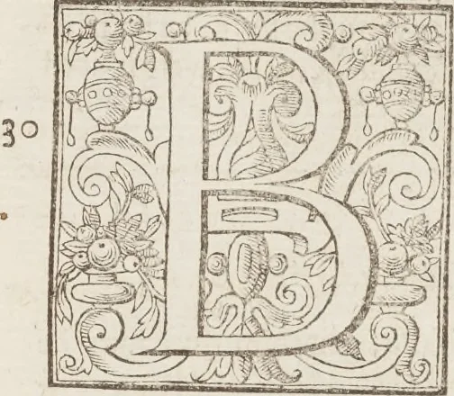 An illustration from The history of the world, 1614, leaf 668