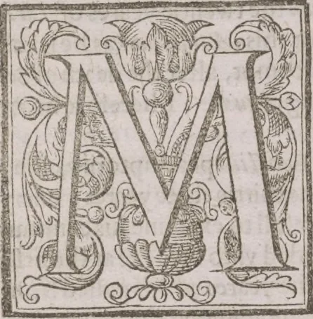 An illustration from The history of the world, 1614, leaf 741