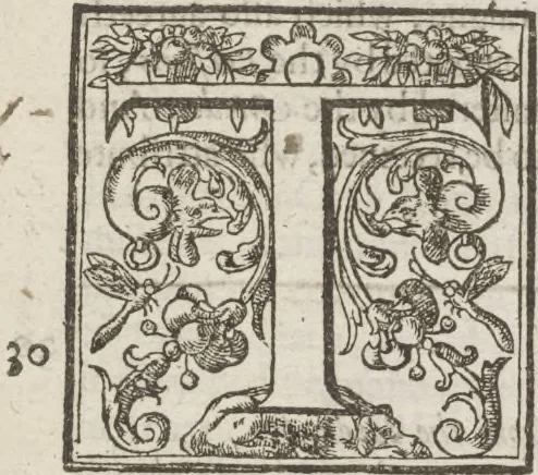 An illustration from The history of the world, 1614, leaf 806