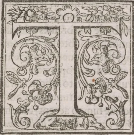 An illustration from The history of the world, 1614, leaf 993