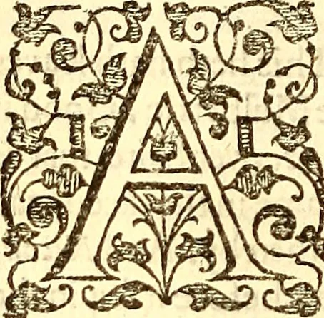 An illustration from The history of the world, commonly called the Naturall historie of C. Plinius Secundus, 1634, leaf 117
