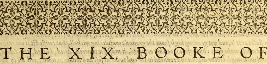 An illustration from The history of the world, commonly called the Naturall historie of C. Plinius Secundus, 1634, leaf 18