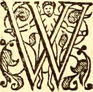 An illustration from The history of the world, commonly called the Naturall historie of C. Plinius Secundus, 1634, leaf 195