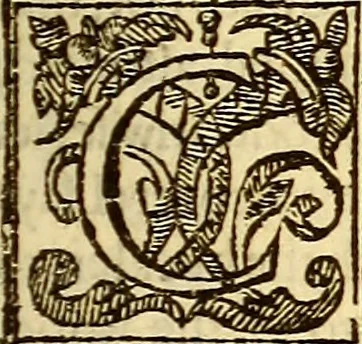 An illustration from The history of the world, commonly called the Naturall historie of C. Plinius Secundus, 1634, leaf 256