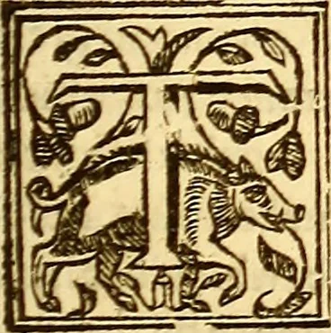 An illustration from The history of the world, commonly called the Naturall historie of C. Plinius Secundus, 1634, leaf 404
