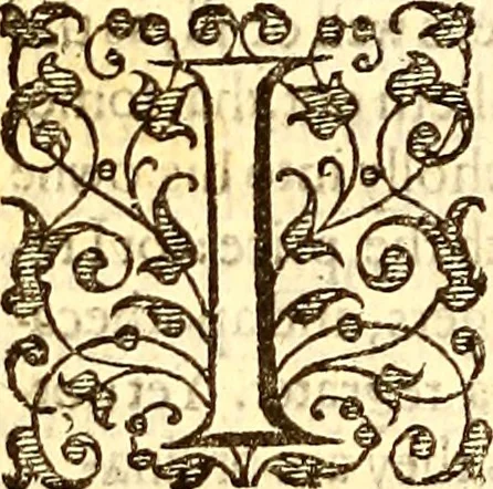An illustration from The history of the world, commonly called the Naturall historie of C. Plinius Secundus, 1634, leaf 465