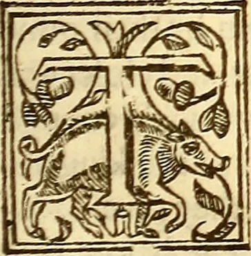 An illustration from The history of the world, commonly called the Naturall historie of C. Plinius Secundus, 1634, leaf 500