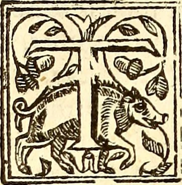 An illustration from The history of the world, commonly called the Naturall historie of C. Plinius Secundus, 1634, leaf 501
