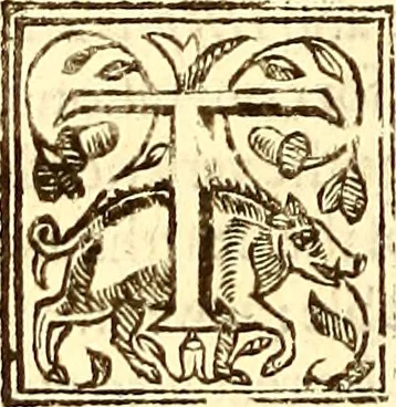 An illustration from The history of the world, commonly called the Naturall historie of C. Plinius Secundus, 1634, leaf 579
