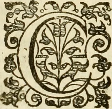 An illustration from The history of the world: : the second part, in six books: being a continuation of the famous History of Sir Walter Raleigh... beginning where he left; viz. at the end of the Macedonian kindom, and deduced to these later-times; that is, from the year of the world 3806, or 160 years before Christ, till the end of the year 1640. after Christ:, 1652, leaf 165