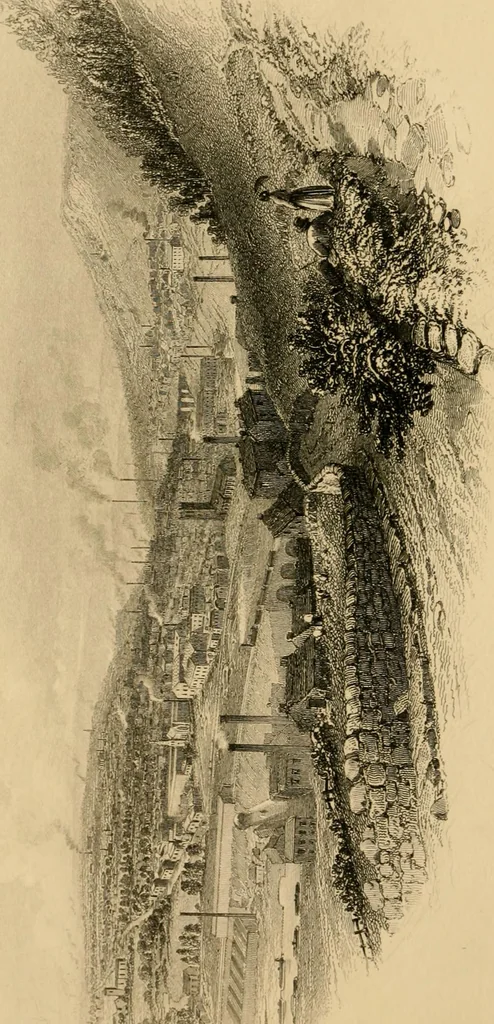 An illustration from History of the worsted manufacture in England, from the earliest times; with introductory notices of the manufacture among the ancient nations, and during the middle ages, 1857, leaf 645