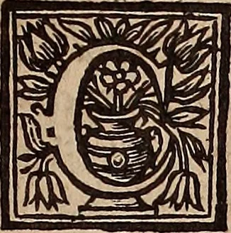 An illustration from The history of the worthies of England., 1662, leaf 218