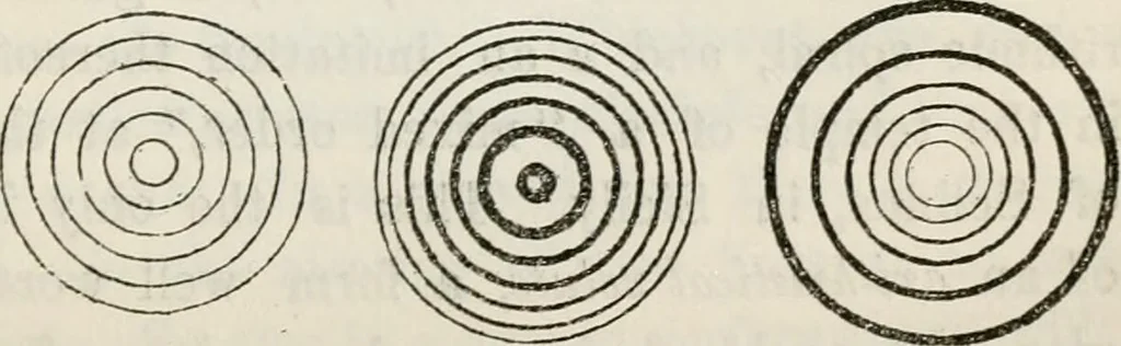 An illustration from The history and rudiments of architecture; embracing, I. The orders of architecture; II. Architectural styles of various countries; III. The nature and principles of design in architecture; and, IV. An accurate and complete glossary of architectural terms .., 1853, leaf 136