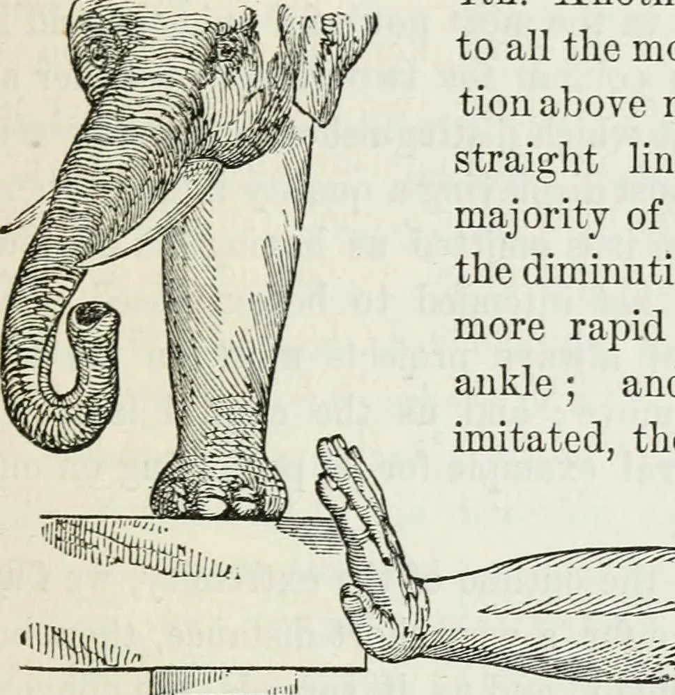 An illustration from The history and rudiments of architecture; embracing, I. The orders of architecture; II. Architectural styles of various countries; III. The nature and principles of design in architecture; and, IV. An accurate and complete glossary of architectural terms .., 1853, leaf 168