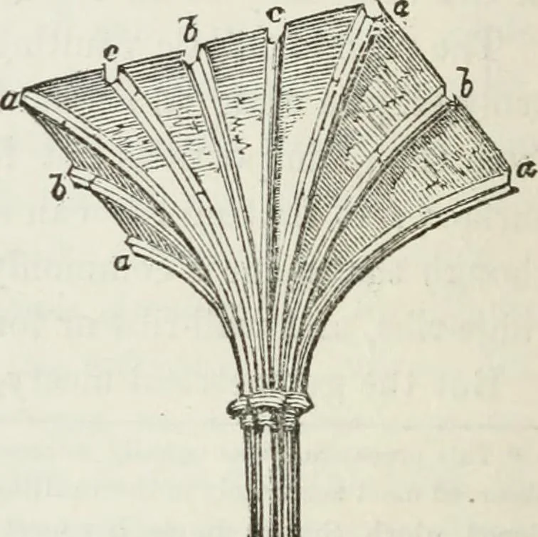 An illustration from The history and rudiments of architecture; embracing, I. The orders of architecture; II. Architectural styles of various countries; III. The nature and principles of design in architecture; and, IV. An accurate and complete glossary of architectural terms .., 1853, leaf 227