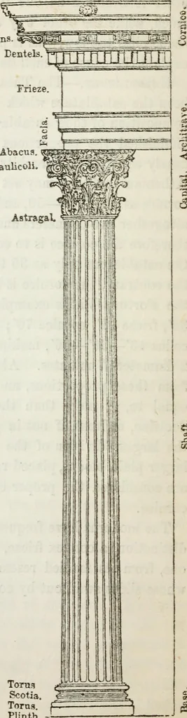 An illustration from The history and rudiments of architecture; embracing, I. The orders of architecture; II. Architectural styles of various countries; III. The nature and principles of design in architecture; and, IV. An accurate and complete glossary of architectural terms .., 1853, leaf 43