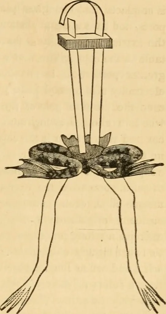 An illustration from History, theory, and practice of the electric telegraph, 1866, leaf 40