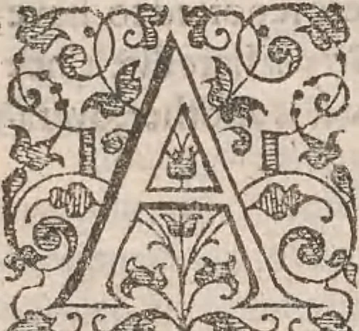 An illustration from The history of the world, commonly called the Naturall historie of C. Plinius Secundus, 1634, leaf 153