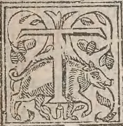 An illustration from The history of the world, commonly called the Naturall historie of C. Plinius Secundus, 1634, leaf 16