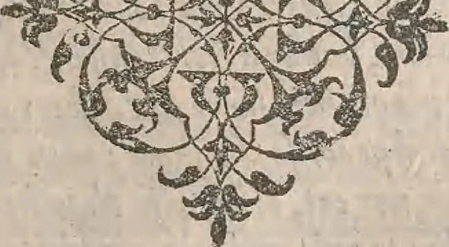 An illustration from The history of the world, commonly called the Naturall historie of C. Plinius Secundus, 1634, leaf 214