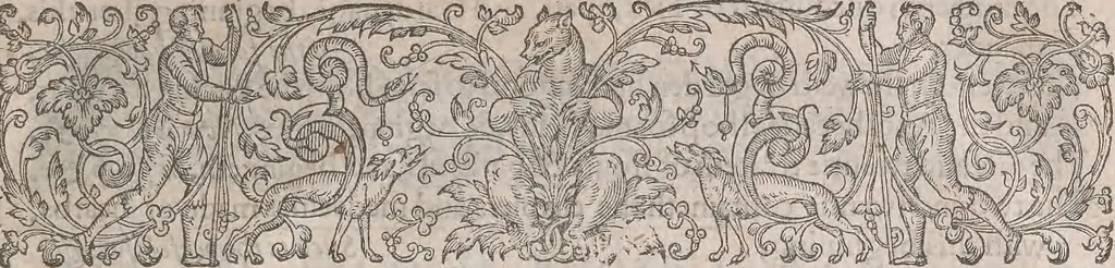 An illustration from The history of the world, commonly called the Naturall historie of C. Plinius Secundus, 1634, leaf 24
