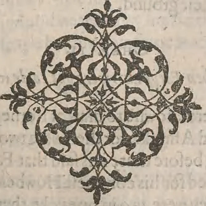 An illustration from The history of the world, commonly called the Naturall historie of C. Plinius Secundus, 1634, leaf 252