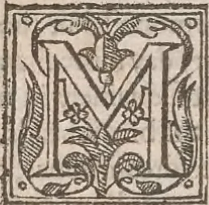 An illustration from The history of the world, commonly called the Naturall historie of C. Plinius Secundus, 1634, leaf 371
