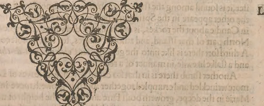 An illustration from The history of the world, commonly called the Naturall historie of C. Plinius Secundus, 1634, leaf 463