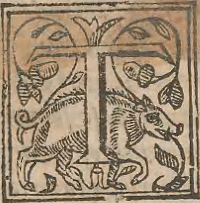 An illustration from The history of the world, commonly called the Naturall historie of C. Plinius Secundus, 1634, leaf 464