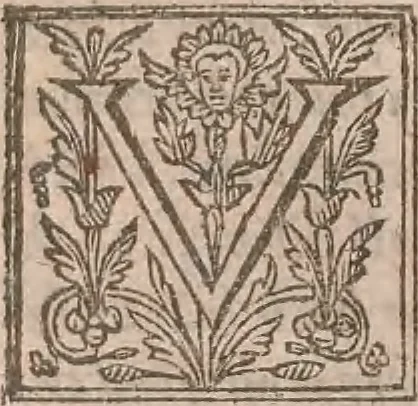 An illustration from The history of the world, commonly called the Naturall historie of C. Plinius Secundus, 1634, leaf 465